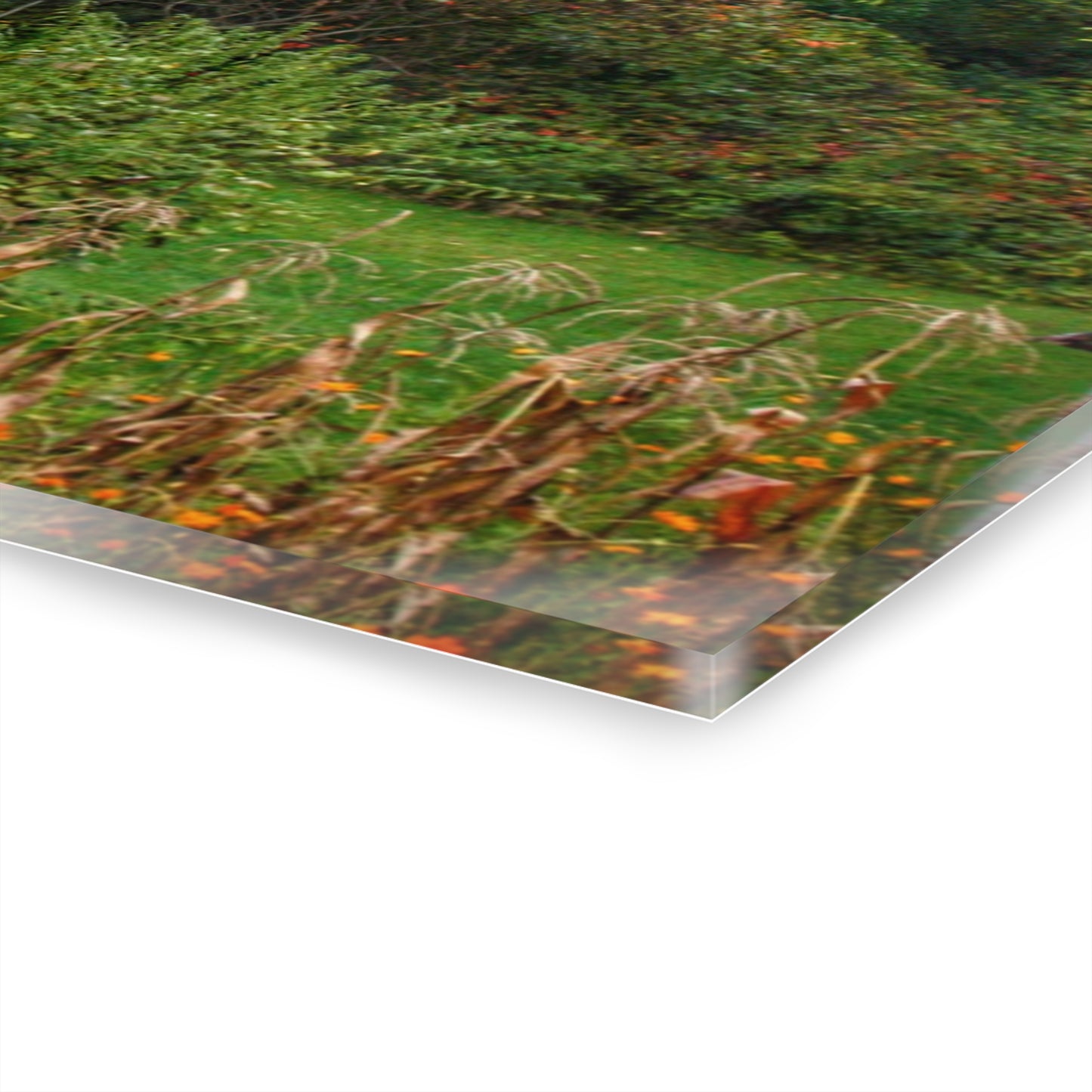 U R There Photography North Lake Road Hidden Grey Rustic Farmhouse Acrylic Wall Print