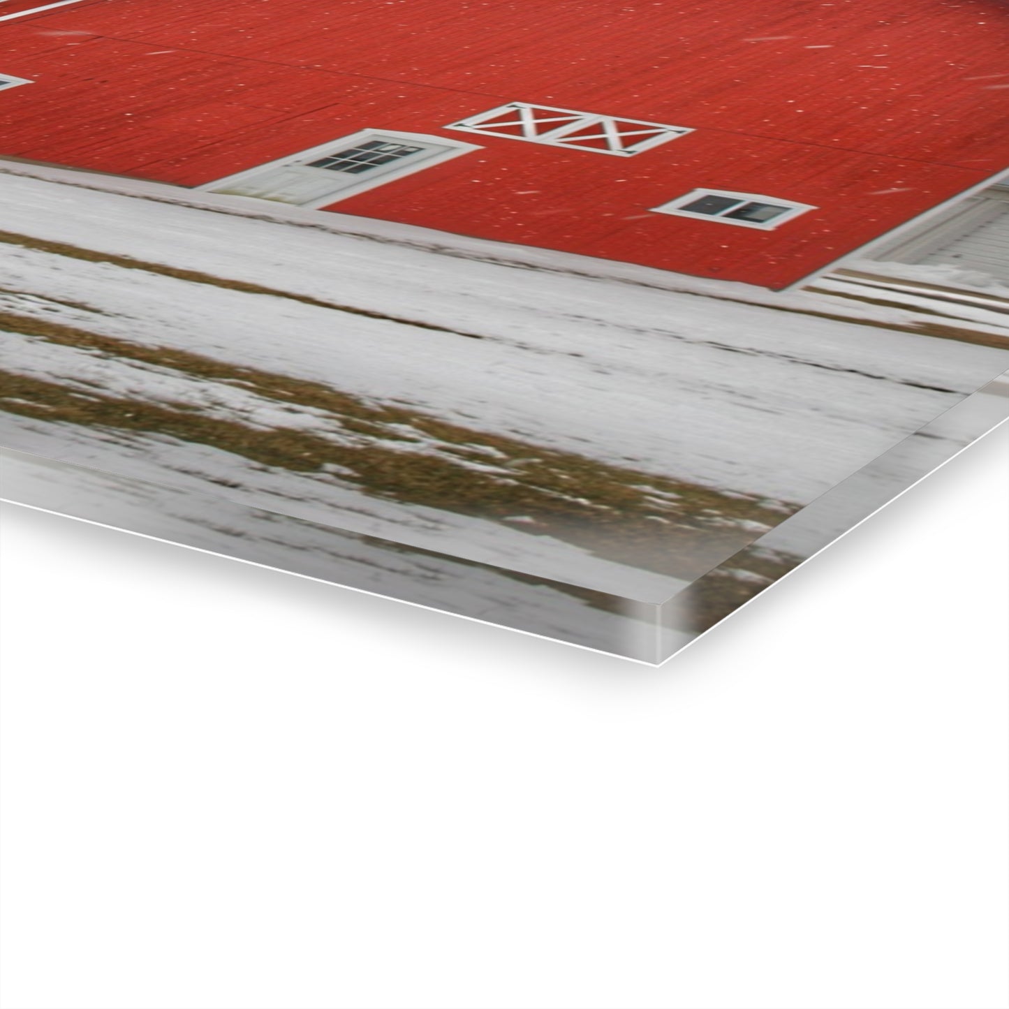 U R There Photography Hollow Corners Red Tree Silo I Rustic Farmhouse Acrylic Wall Print