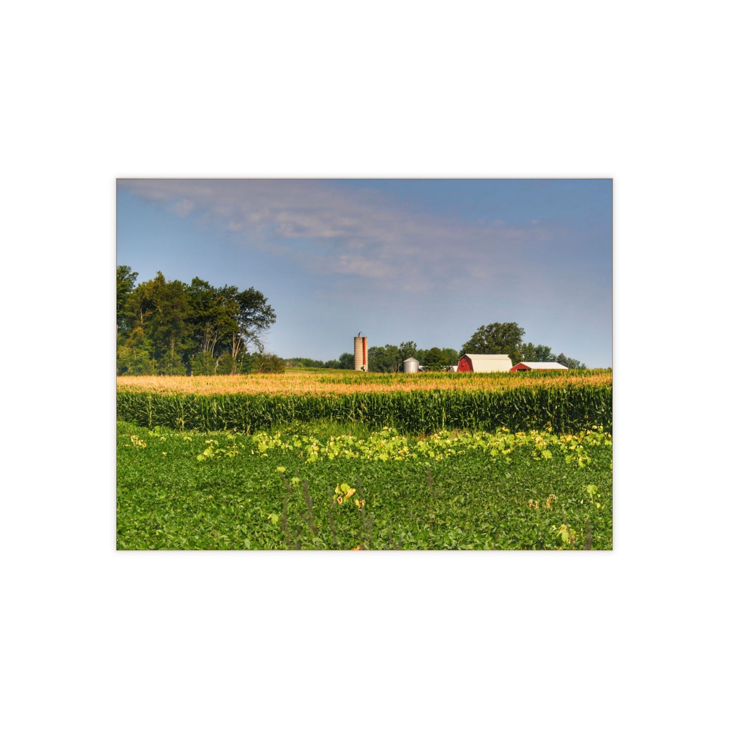 U R There Photography Across the Field in Clifford Rustic Farmhouse Decorative Ceramic Tile