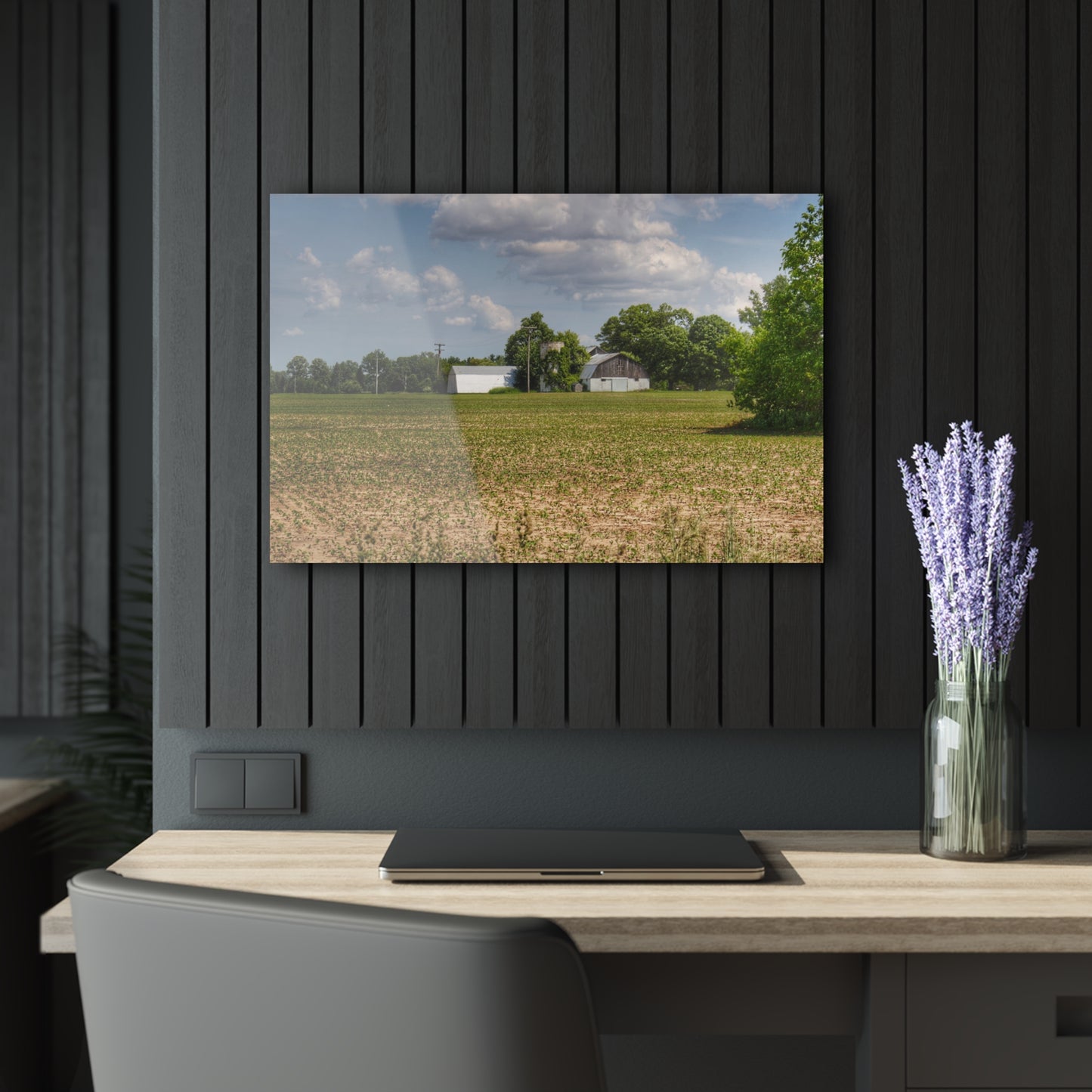 U R There Photography Willard Road White Rustic Farmhouse Acrylic Wall Print