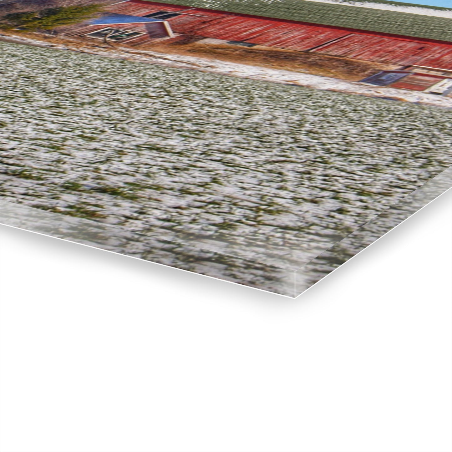 U R There Photography Early Spring Red II Rustic Farmhouse Acrylic Wall Print