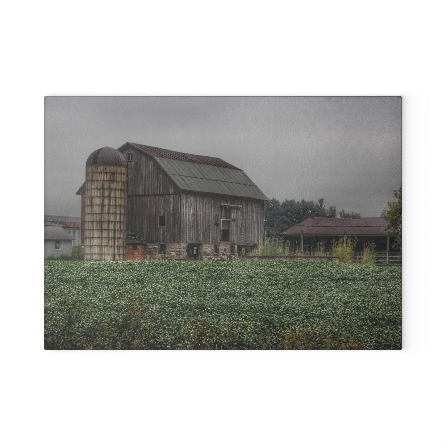 U R There Photography East Millington Road Grey and Stable Rustic Farmhouse Tempered-Glass Cutting Board