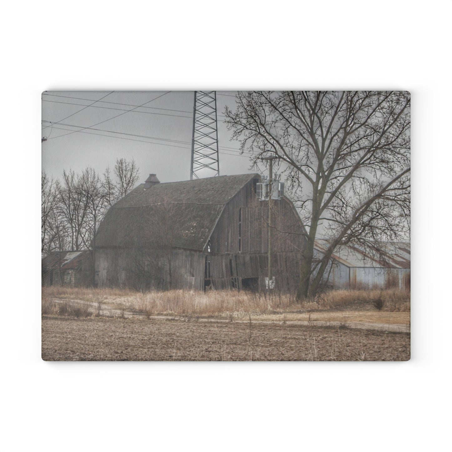 U R There Photography Barnes Road End of Days Rustic Farmhouse Tempered-Glass Cutting Board