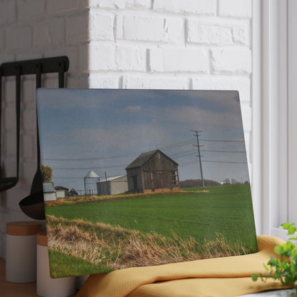 U R There Photography McAlpine Grey Rustic Farmhouse Tempered-Glass Cutting Board