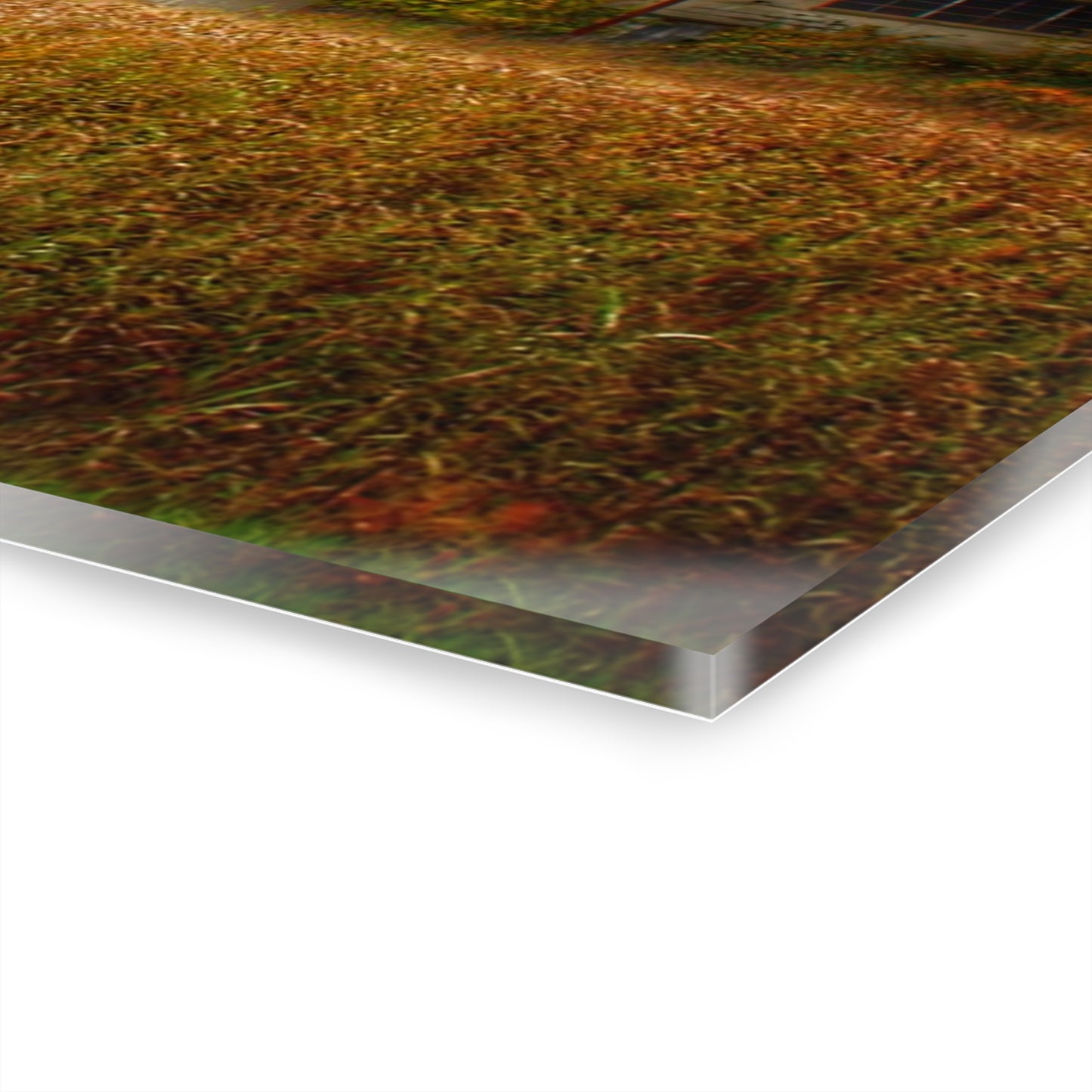 U R There Photography Farnsworth Forgotten Rustic Farmhouse Acrylic Wall Print