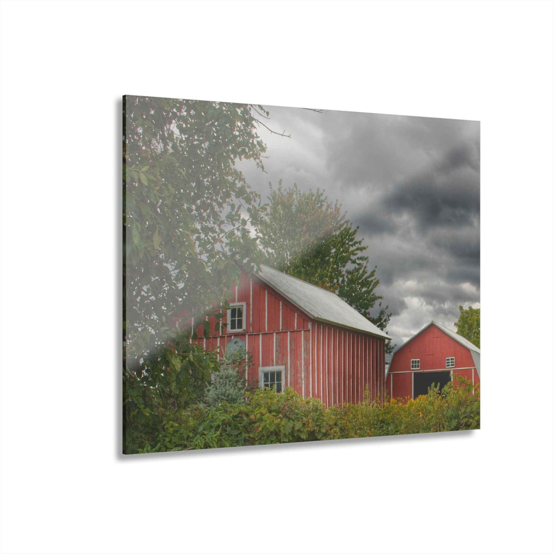 U R There Photography Pinstripe Barn and Buddy I Rustic Farmhouse Acrylic Wall Print