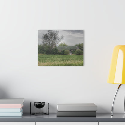 U R There Photography Wilder Road Grey III Rustic Farmhouse Acrylic Wall Print