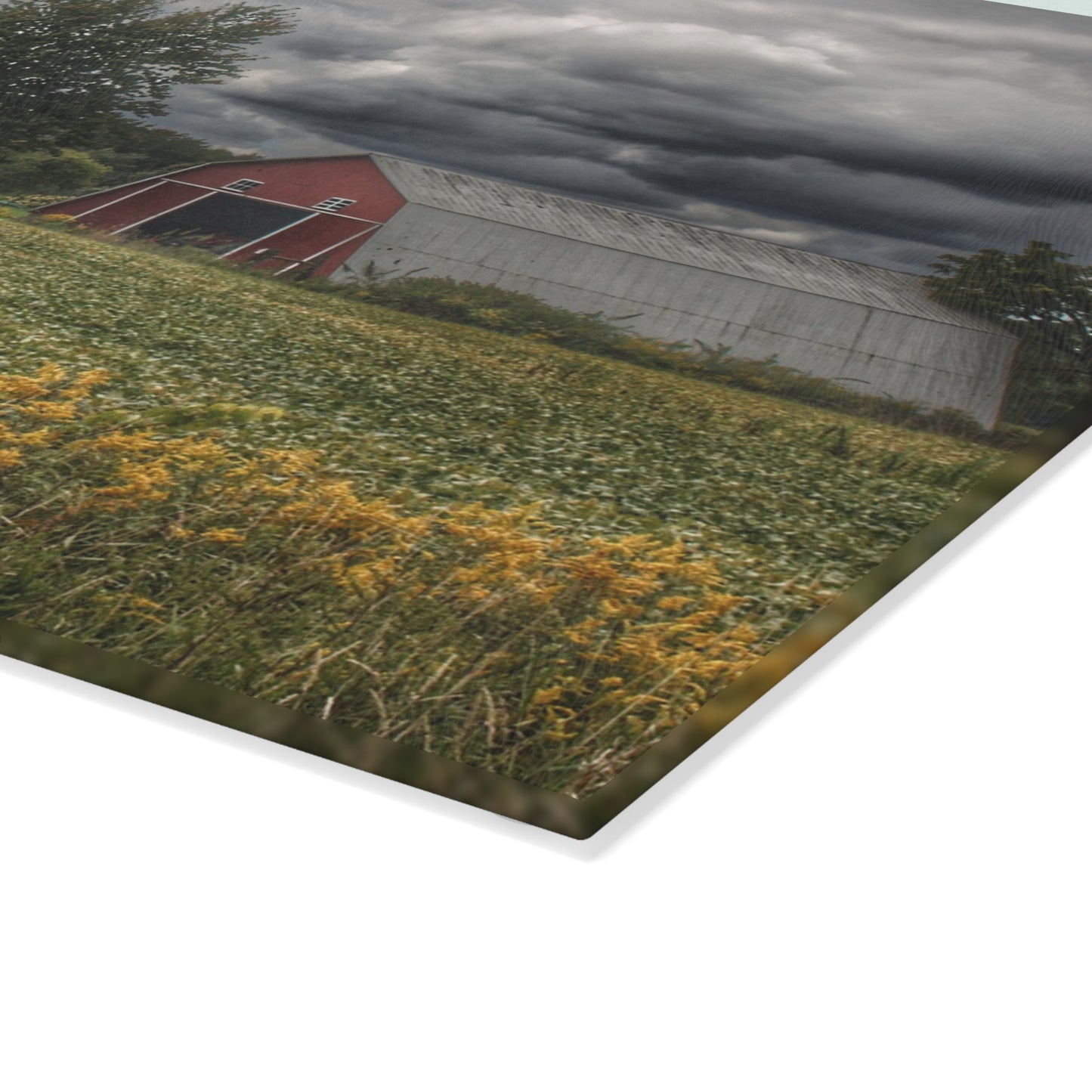 U R There Photography Pinstripe Barn and Buddy II Rustic Farmhouse Tempered-Glass Cutting Board