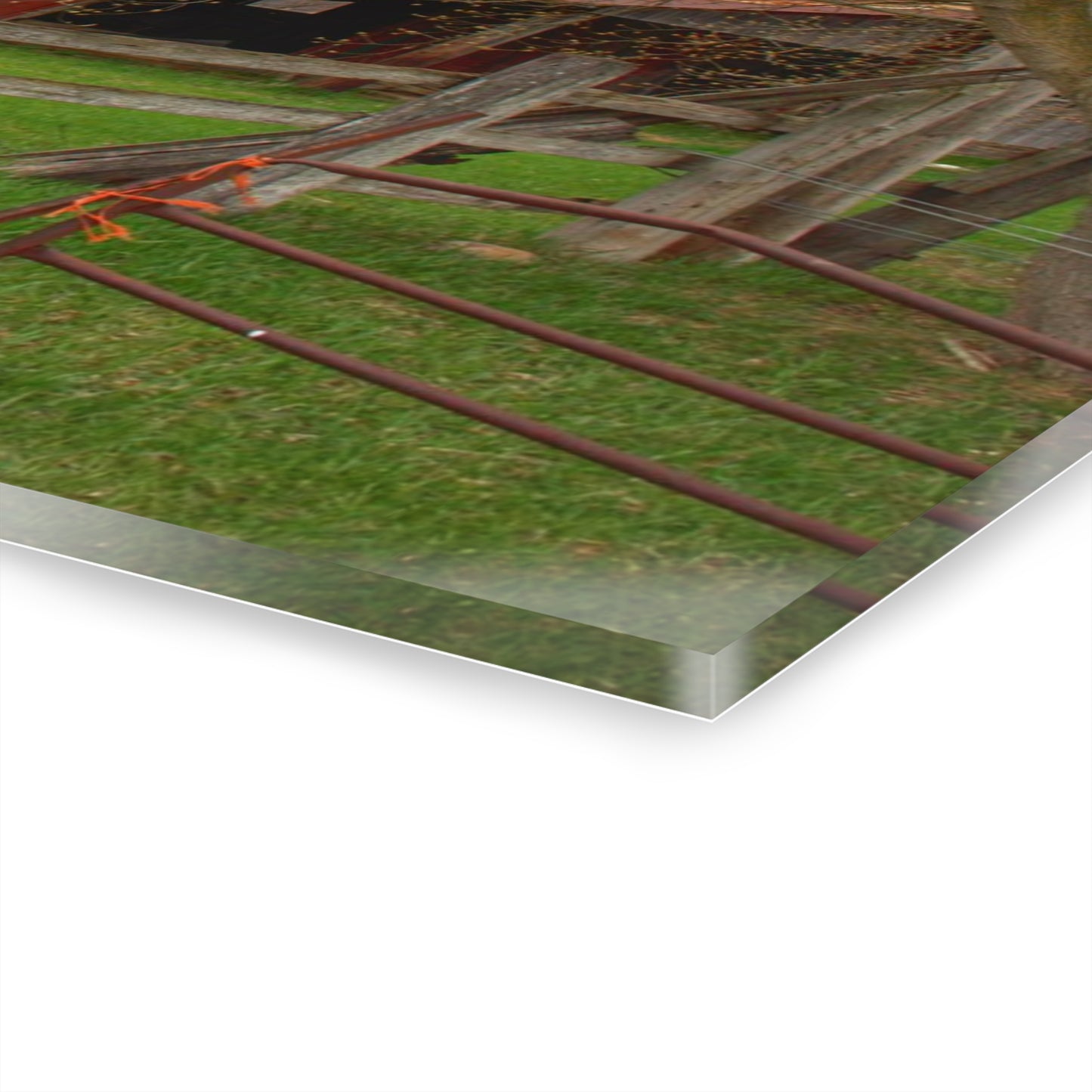 U R There Photography Dodge Road Forgotten Greys Rustic Farmhouse Acrylic Wall Print