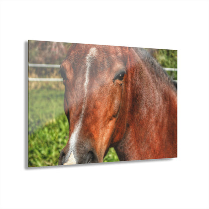 Rustic Farmhouse Wall Print Featuring Irish Road Brownie