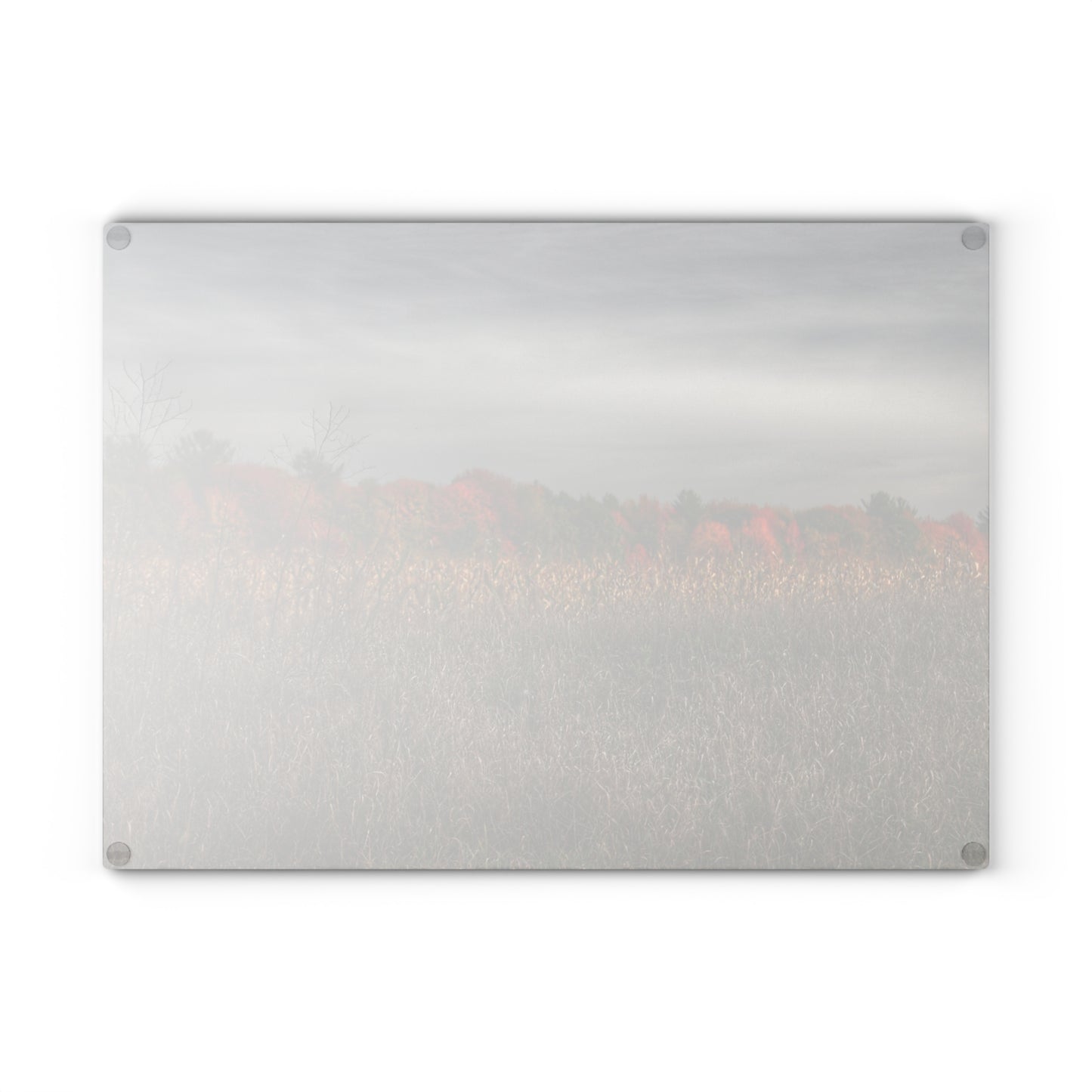 U R There Photography Fall on Murphy Lake V Rustic Farmhouse Tempered-Glass Cutting Board