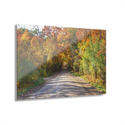 U R There Photography Harson Road in Fall II Rustic Farmhouse Acrylic Wall Print
