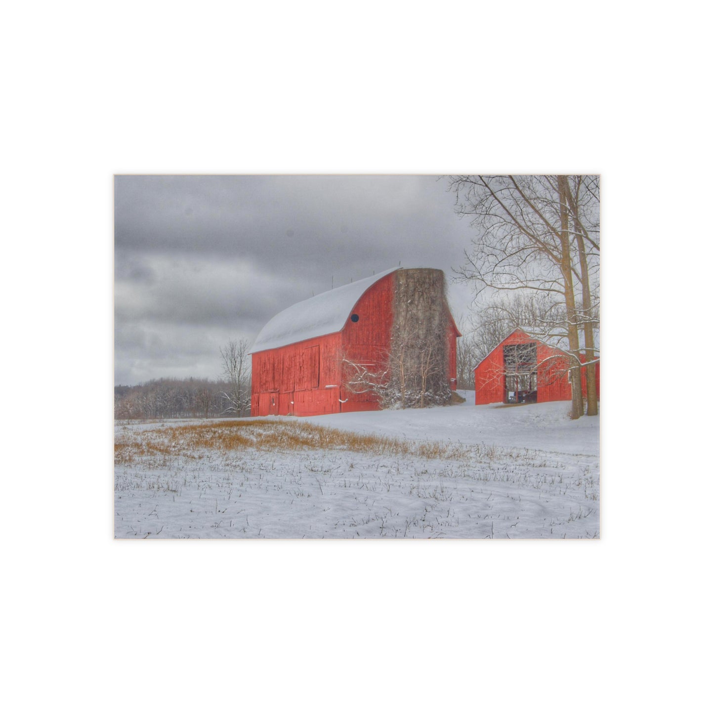 U R There Photography Catlin Reds in Winter II Rustic Farmhouse Decorative Ceramic Tile