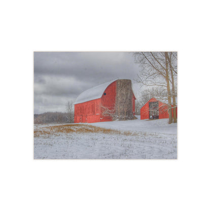 U R There Photography Catlin Reds in Winter II Rustic Farmhouse Decorative Ceramic Tile