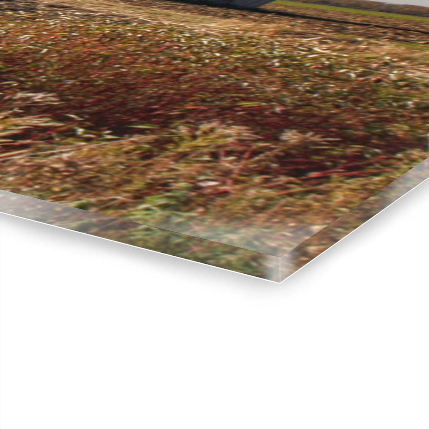 U R There Photography Darbee Red and Silo Rustic Farmhouse Acrylic Wall Print