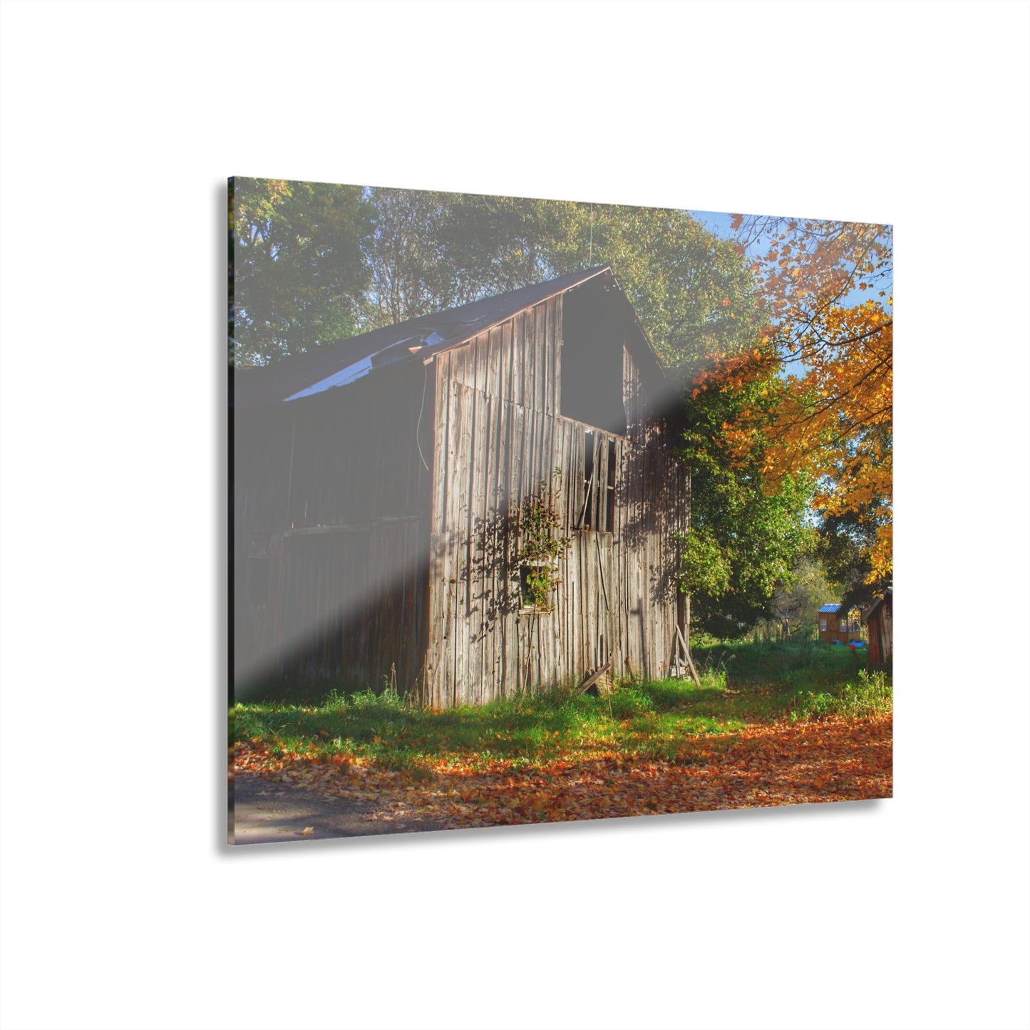 U R There Photography Shoemaker Road Hidden Grey Rustic Farmhouse Acrylic Wall Print
