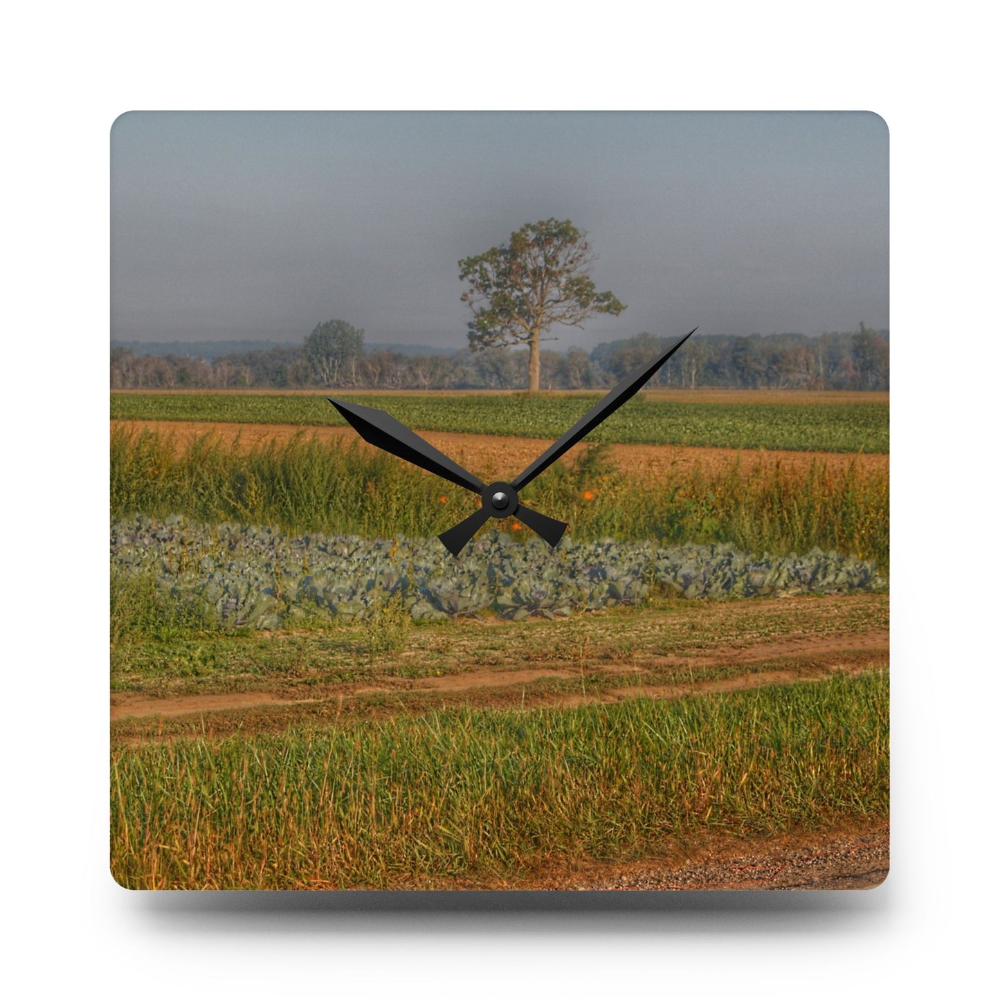 U R There Photography Cabbage and Pumpkin Patch Rustic Farmhouse Acrylic Analog Wall Clock