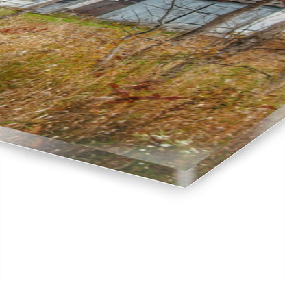 U R There Photography Hill Road Roadside Grey II Rustic Farmhouse Acrylic Wall Print