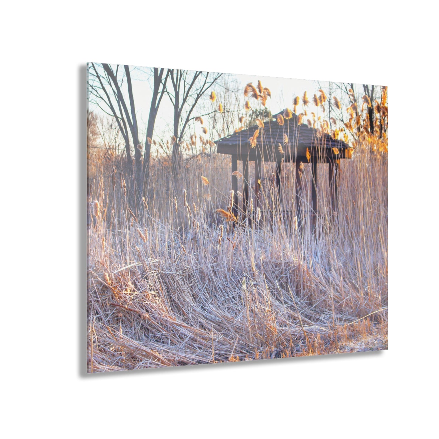 U R There Photography Haines Hidden Gazebo Rustic Farmhouse Acrylic Wall Print