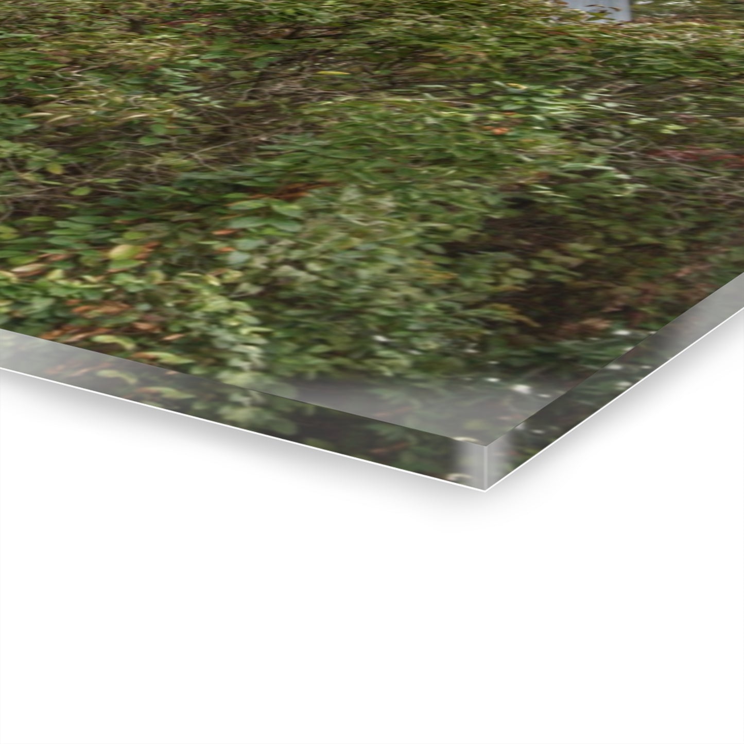 U R There Photography North Clio Road Red Rustic Farmhouse Acrylic Wall Print