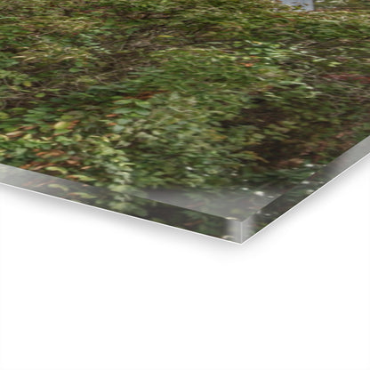 U R There Photography North Clio Road Red Rustic Farmhouse Acrylic Wall Print