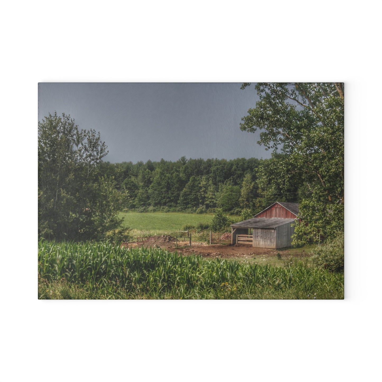 U R There Photography West Oregon Road Hidden Red I Rustic Farmhouse Tempered-Glass Cutting Board