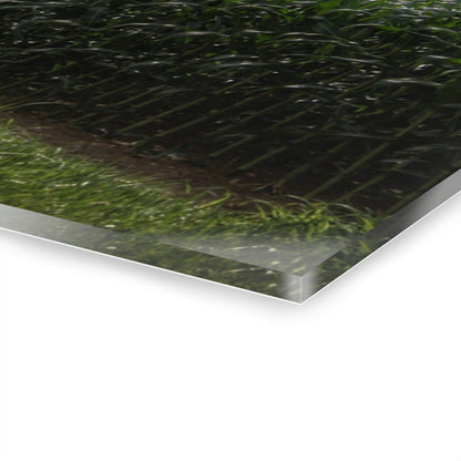U R There Photography Above the Corn on Piersonville Road II Rustic Farmhouse Acrylic Wall Print