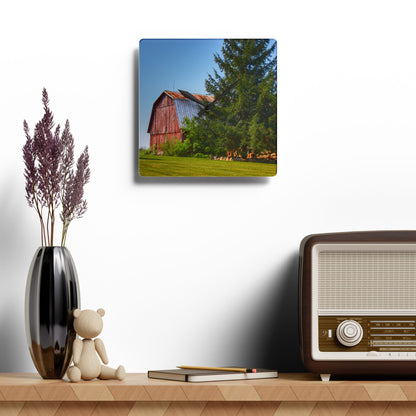 U R There Photography Mushroom Road Hidden Red Rustic Farmhouse Acrylic Analog Wall Clock