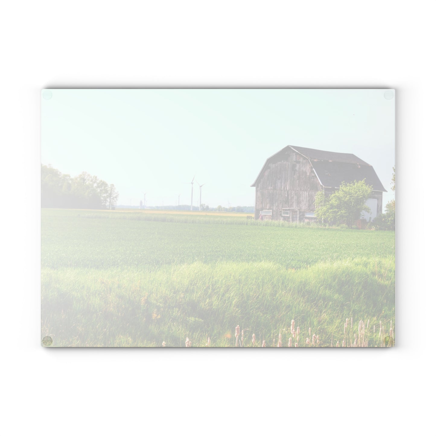 U R There Photography North Graf Road Old Grey Rustic Farmhouse Tempered-Glass Cutting Board