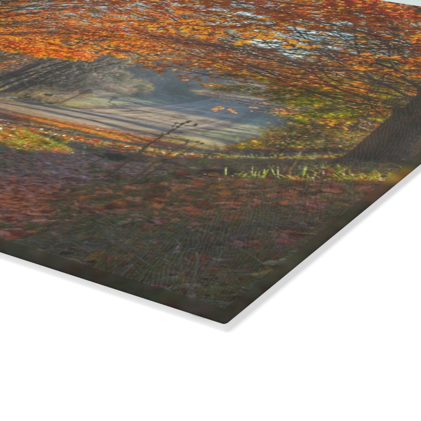U R There Photography Fall on Oak Road Rustic Farmhouse Tempered-Glass Cutting Board
