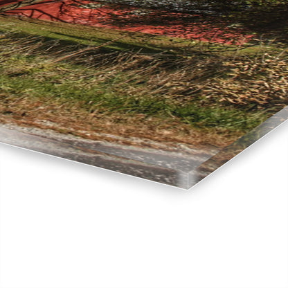 U R There Photography Genesee Road Red III Rustic Farmhouse Acrylic Wall Print