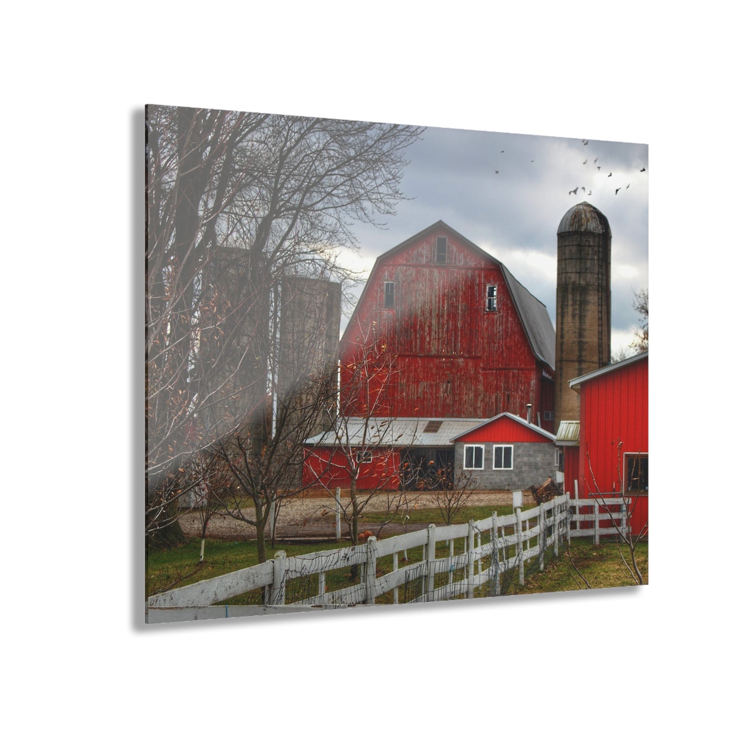 Barn Boutique Modern Farmhouse Acrylic Wall Print| Peck Red