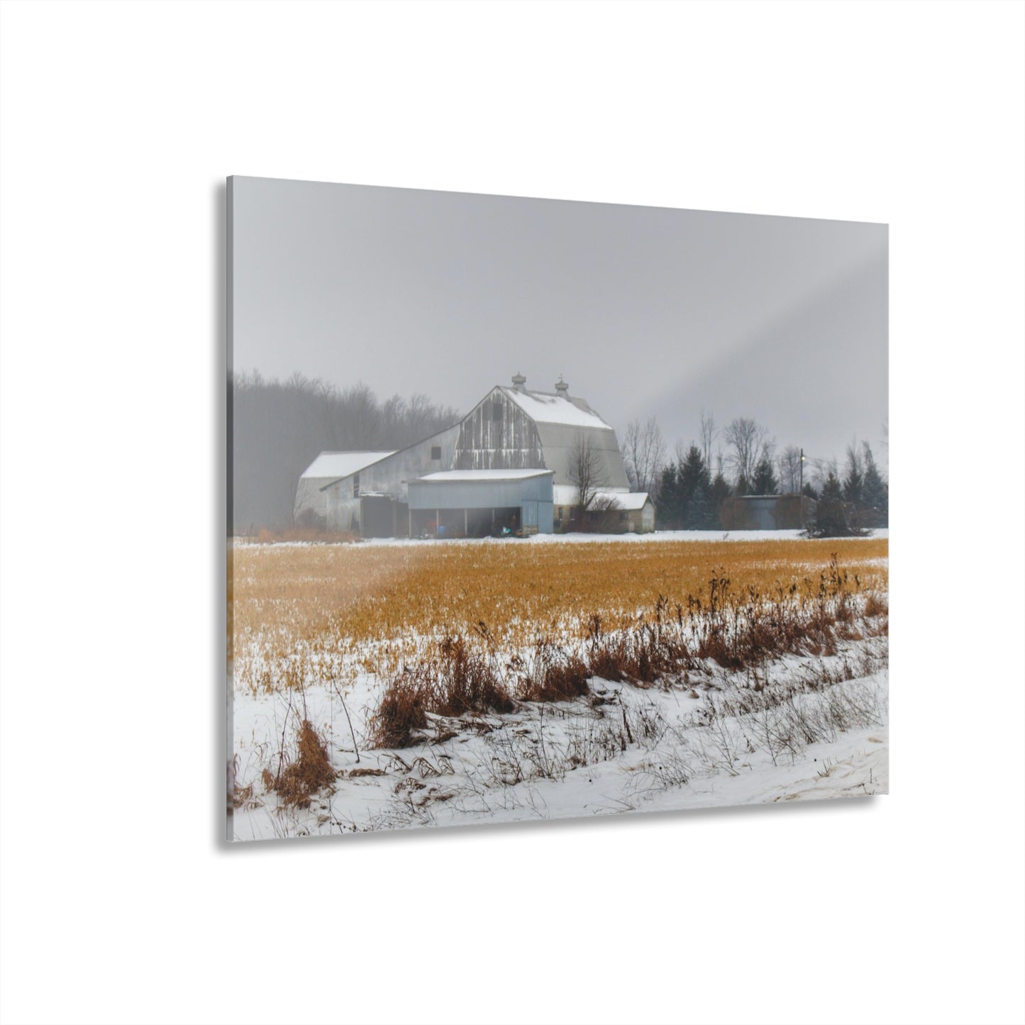 U R There Photography Argyle Road Grey Rustic Farmhouse Acrylic Wall Print