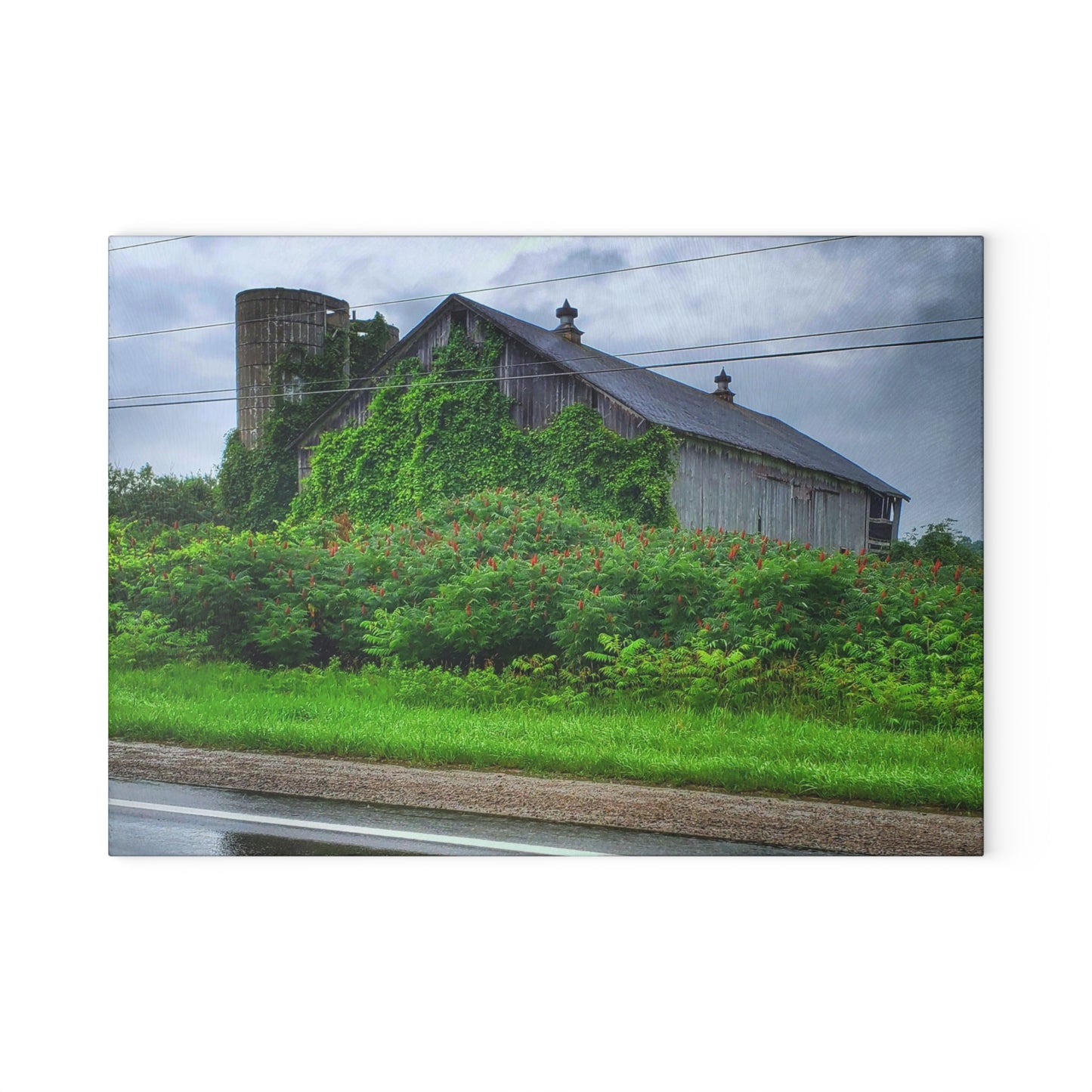 U R There Photography Metamora M-24 Grey IV Rustic Farmhouse Tempered-Glass Cutting Board