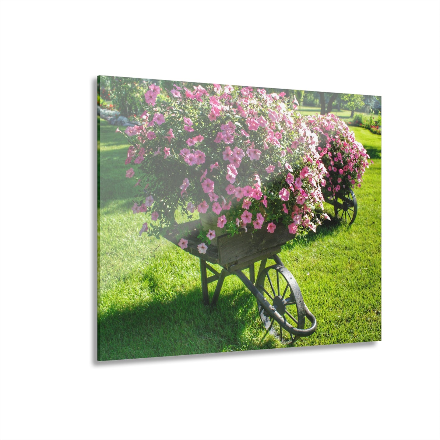 U R There Photography Wheelbarrow Full of Flowers Rustic Farmhouse Acrylic Wall Print