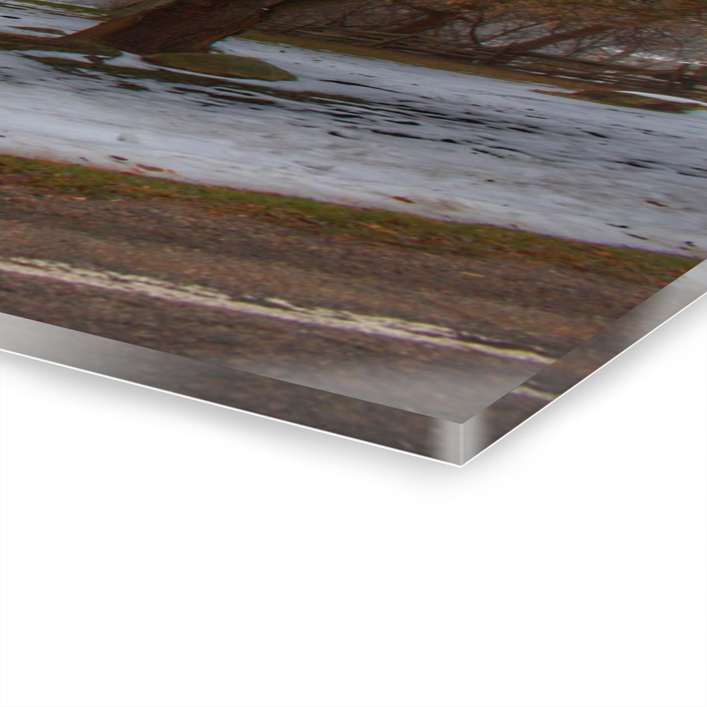 U R There Photography Ludwig Road Greys in the Fog Rustic Farmhouse Acrylic Wall Print