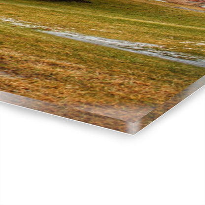 U R There Photography Laur Road Red Among the Pines III Rustic Farmhouse Acrylic Wall Print