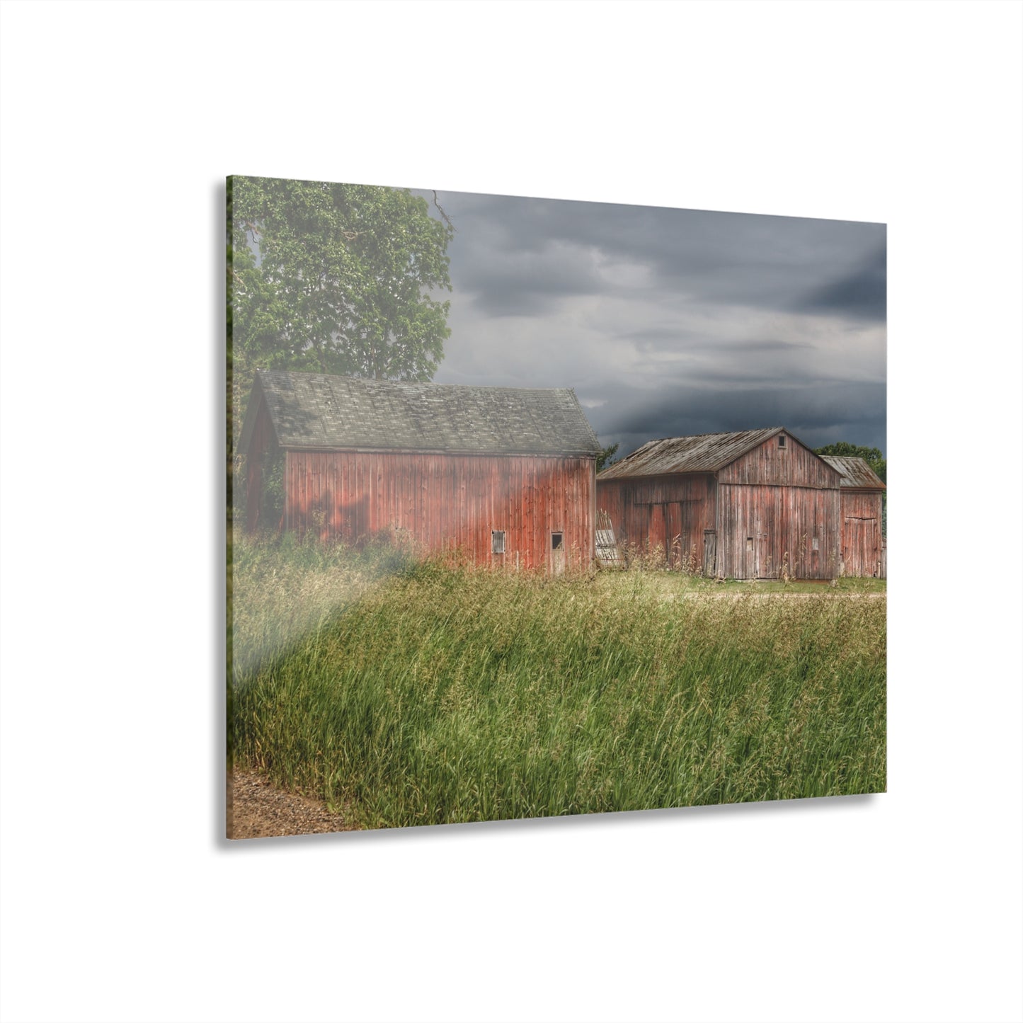 U R There Photography Hunters Creek Reds Rustic Farmhouse Acrylic Wall Print