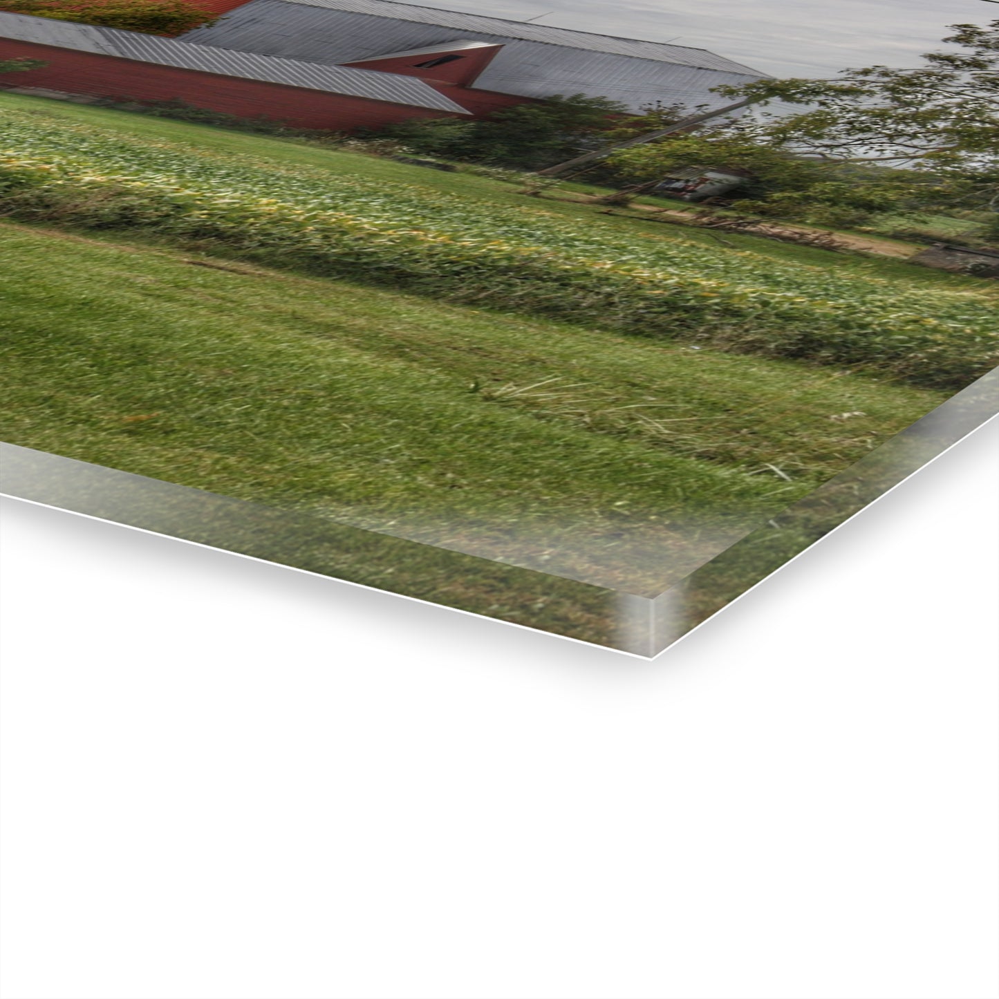 U R There Photography West Dodge Road Reds Rustic Farmhouse Acrylic Wall Print