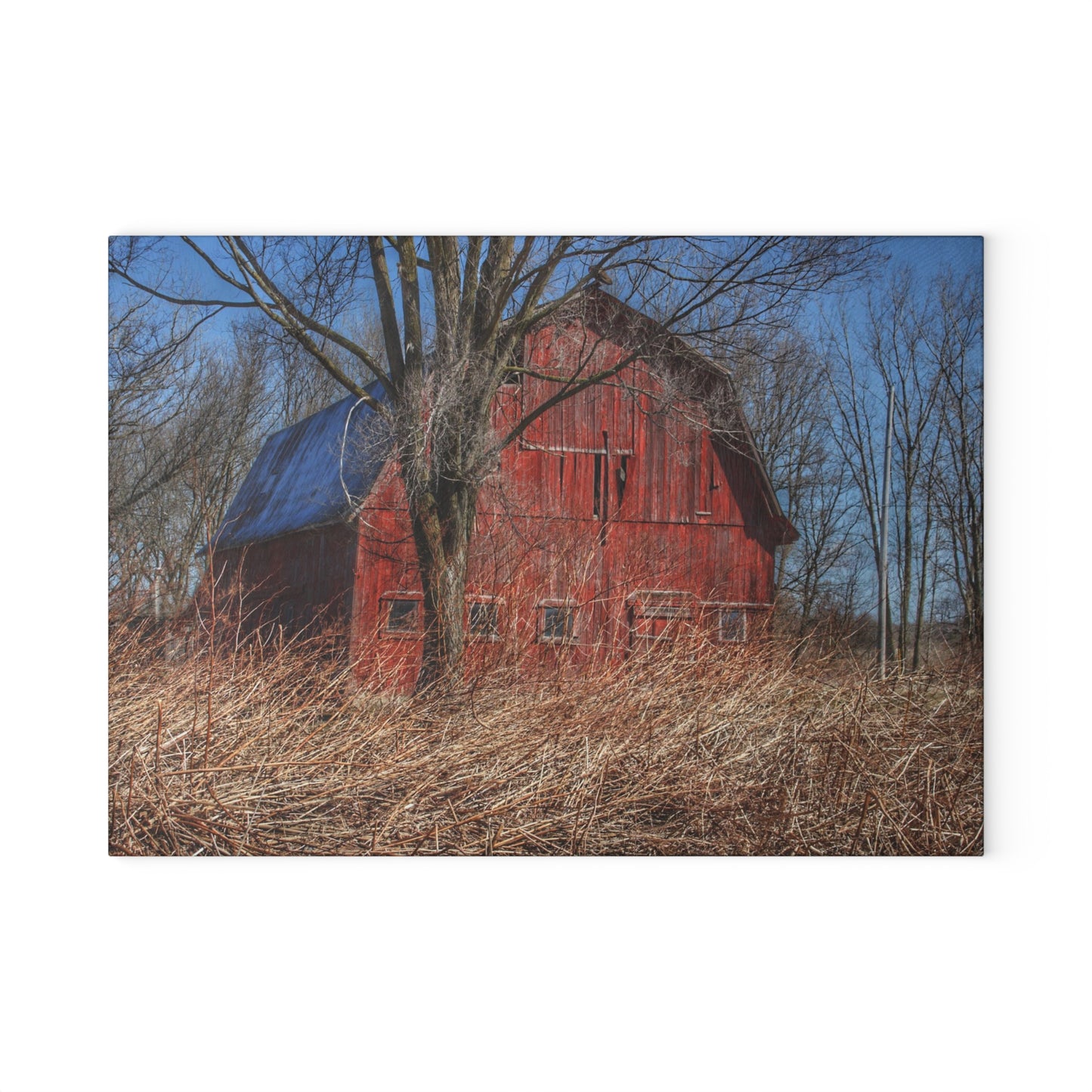 U R There Photography East Dodge Road Red Rustic Farmhouse Tempered-Glass Cutting Board