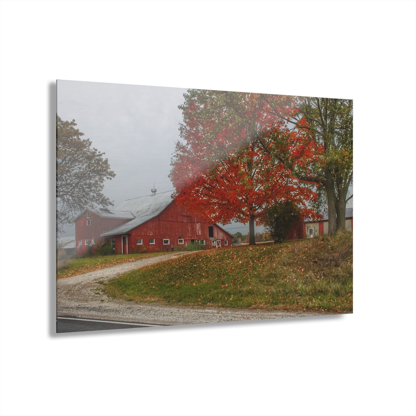 U R There Photography Goodrich Baldwin Road Reds II Rustic Farmhouse Acrylic Wall Print