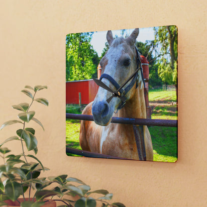 U R There Photography White Cream Mare of Hollenbeck Rustic Farmhouse Acrylic Analog Wall Clock