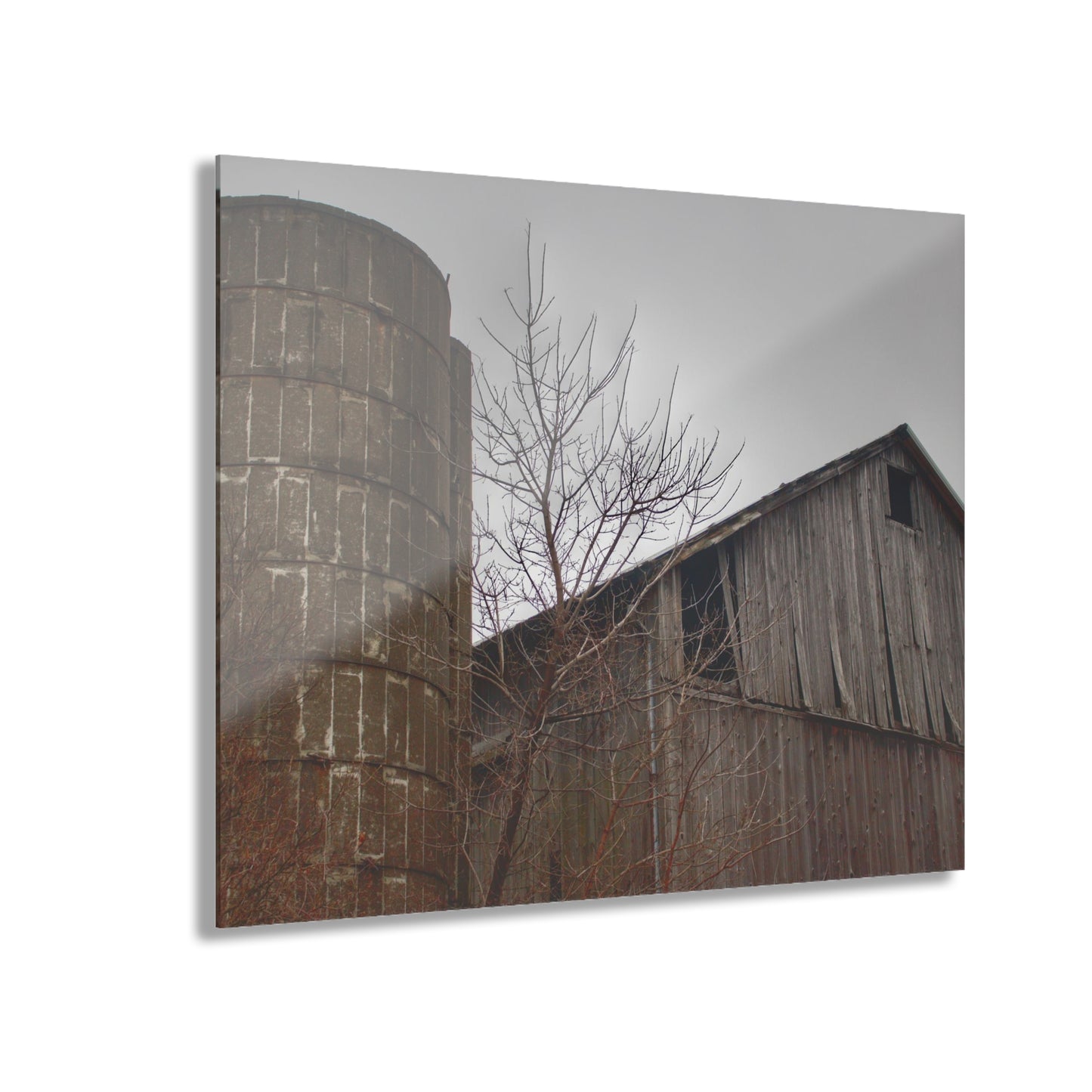 U R There Photography Brandon Hill Grey Rustic Farmhouse Acrylic Wall Print