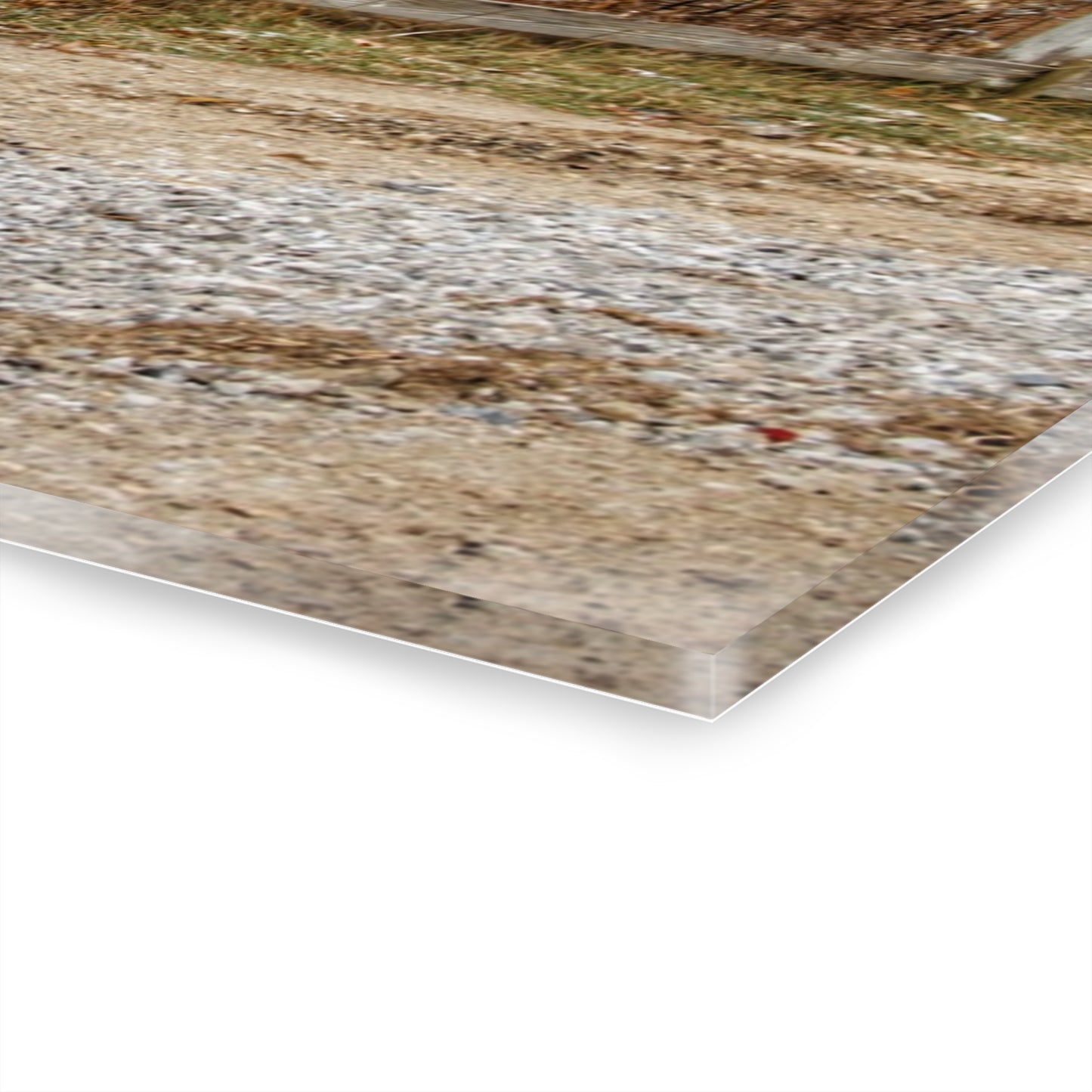 U R There Photography Mound Road Reds Rustic Farmhouse Acrylic Wall Print