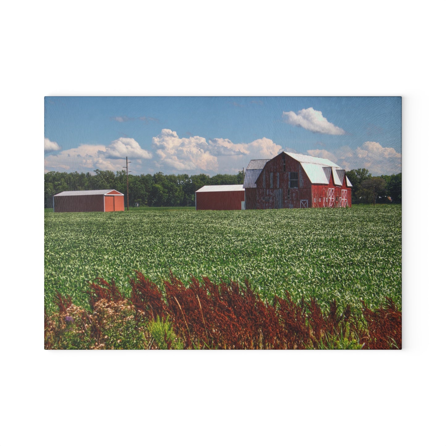 U R There Photography South Gera Road Red Rustic Farmhouse Tempered-Glass Cutting Board