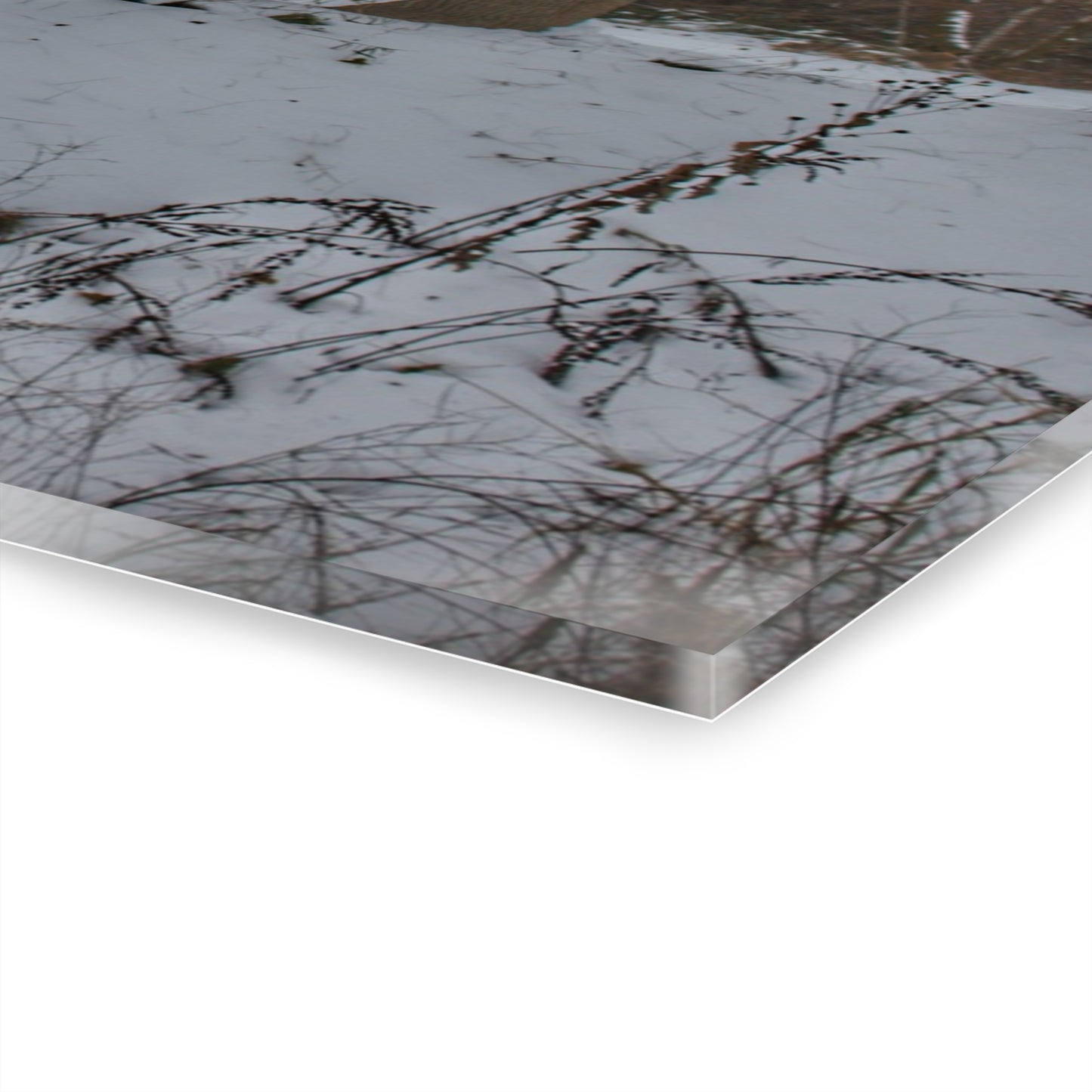 U R There Photography Hayes Road Grey in Winter II Rustic Farmhouse Acrylic Wall Print