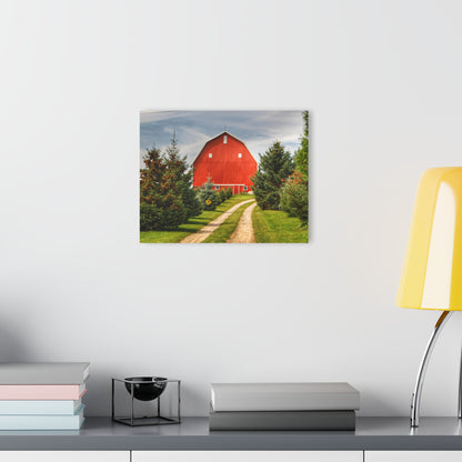 Barn Boutique Modern Farmhouse Acrylic Wall Print| Brown City Road Pine Red