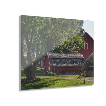 U R There Photography Hidden Reds Rustic Farmhouse Acrylic Wall Print