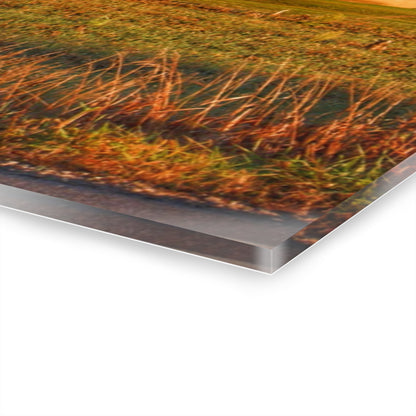 U R There Photography Lake Pleasant Corral Red II Rustic Farmhouse Acrylic Wall Print