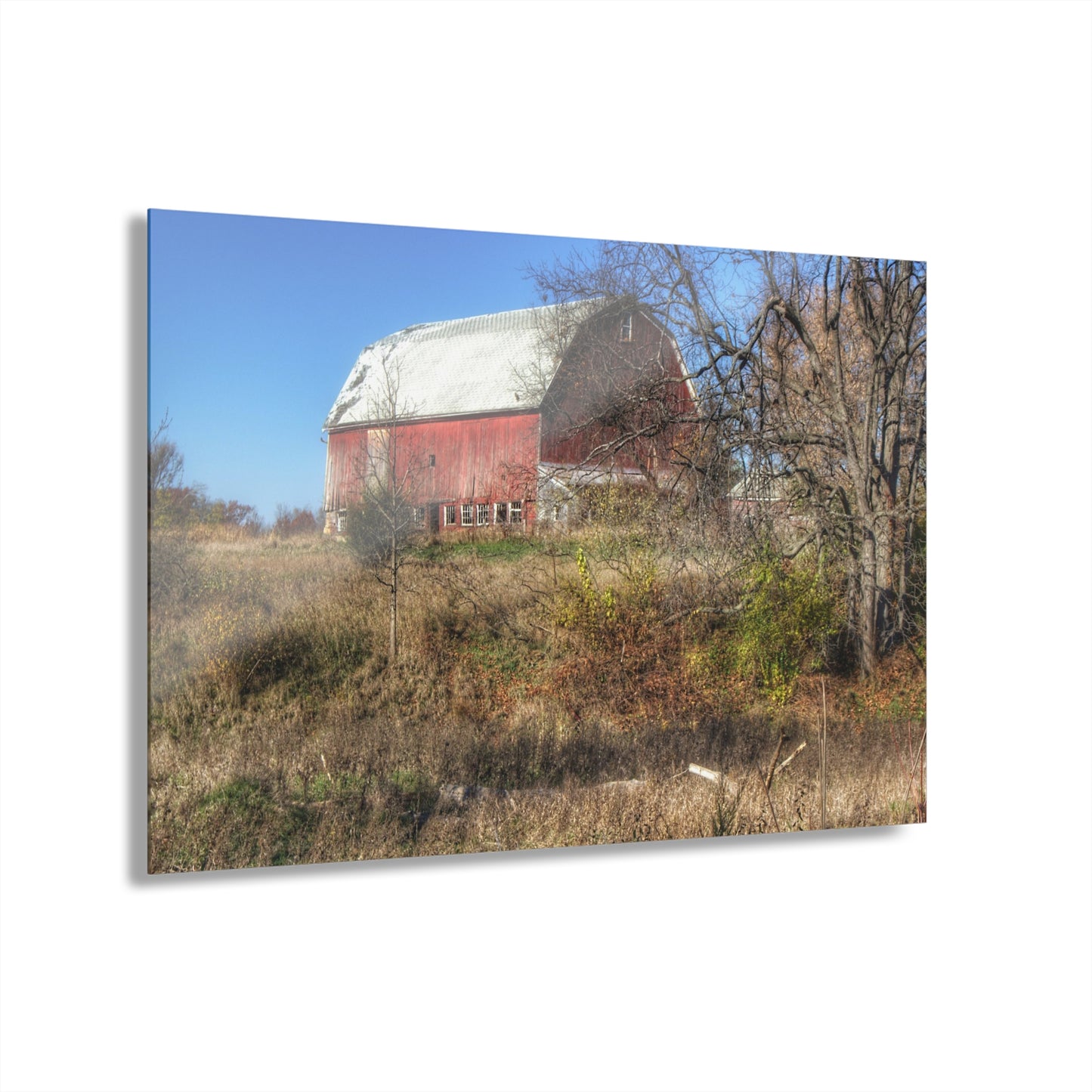 U R There Photography Hadley Red I Rustic Farmhouse Acrylic Wall Print